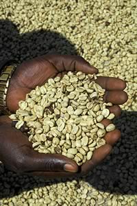 Ugandan grain